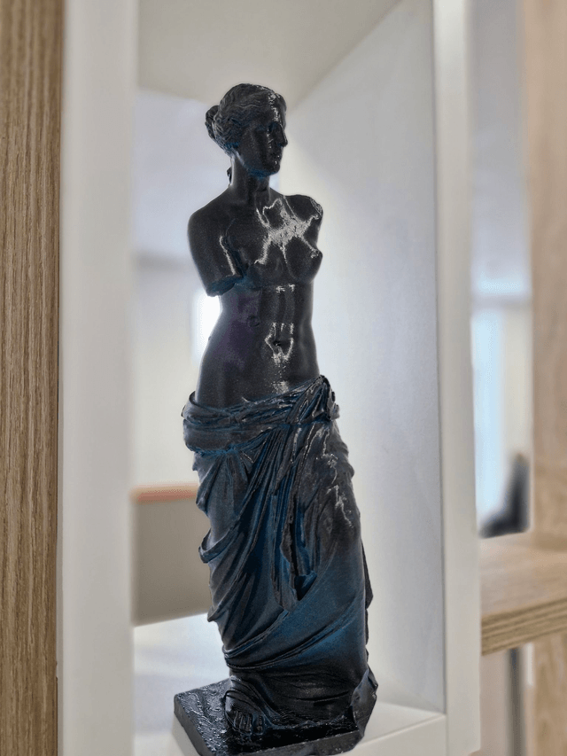 VENUS