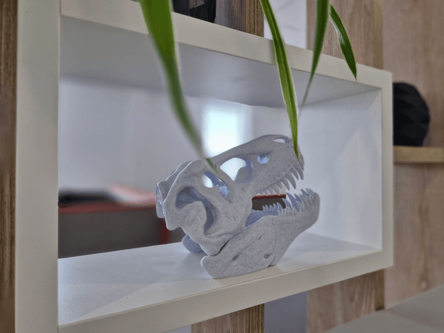 T-REX - Skull