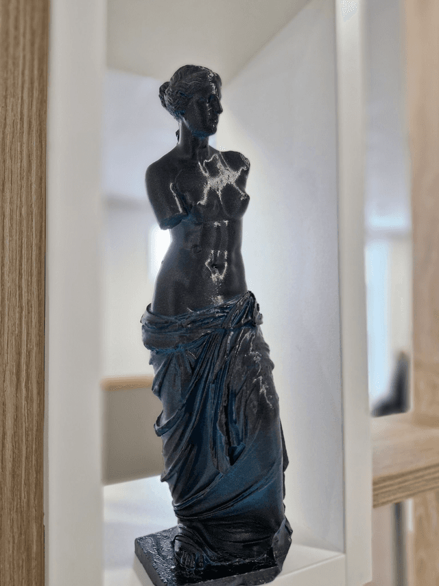 VENUS